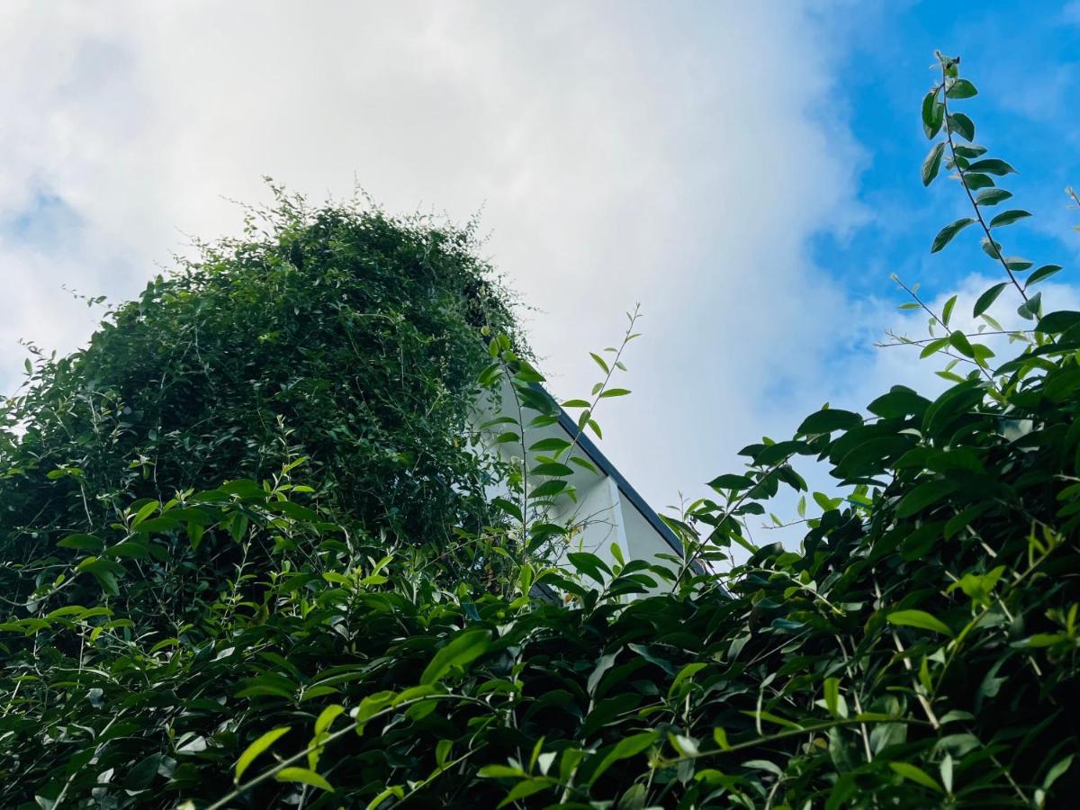 Coto Center Homestay Dao Co To Exterior foto